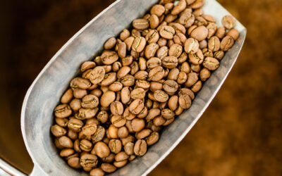 Röstgrad: Wichtig für das Kaffee Aroma