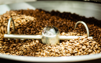 Single Origin Kaffee: Genau wissen, woher der Kaffee kommt