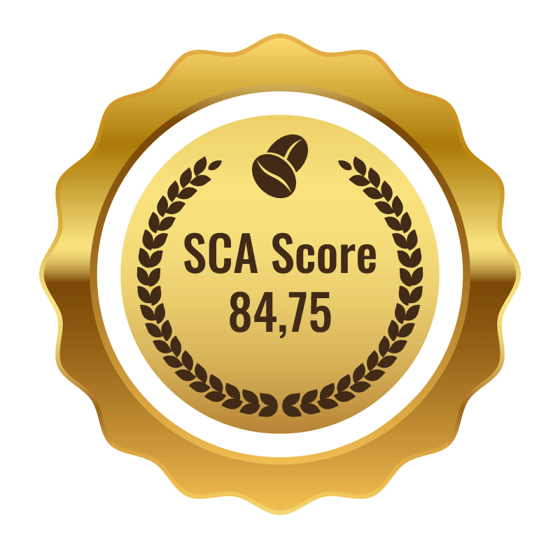 SCA Score SCA-Score 87